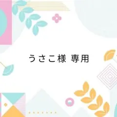 うさこ様専用
