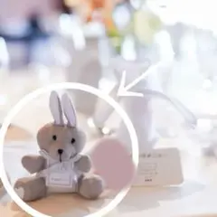 コレクター 希少 Francfranc フランフラン シルバー テディベア コレクター 希少 Francfranc フランフラン シルバー テディベア