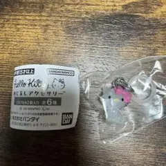 Hello Kitty めじるしアクセサリー⑥
