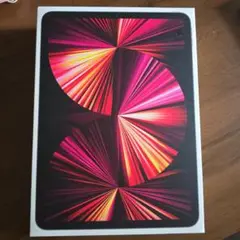 Apple iPad Pro 11インチ