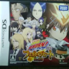 DS 家庭教師ヒットマンREBORN! フェイトオブヒート~炎の運命~