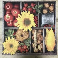 Item thumbnail for item 508db41e-2c5b-45f8-91f3-7af417b08b62