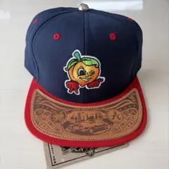 Item thumbnail for item ffff0293-34f3-45b6-88df-396dcecc6827