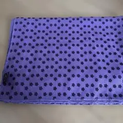 Item thumbnail for item 4ebf6e66-fd03-46d2-995b-c27d5c781e08