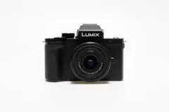 2026年最新】lumix g100dの人気アイテム - メルカリ