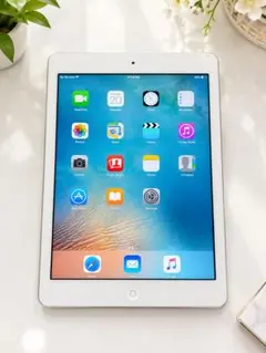 Apple iPad 本体 wifi+ cellular model