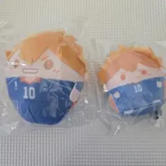ハイキュー!! ぬいくじ2 くじメイト 日向翔陽 C賞 - メルカリ