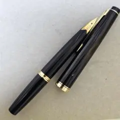 2025年最新】pilot 14k-585の人気アイテム - メルカリ