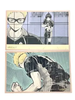 ハイキュー　メモリアルコレクション　月島蛍