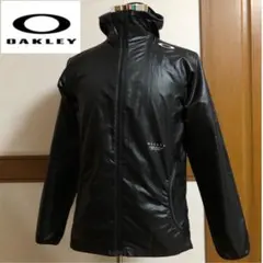 Item thumbnail for item 451be352-1875-4d81-be34-d50cc7e4fd95