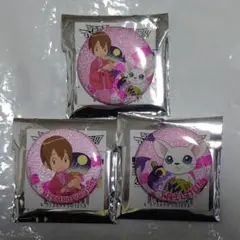 デジモンアドベンチャー 八神ヒカリ缶バッジ デジモンアドベンチャー八神ヒカリ缶バッジ - メルカリ