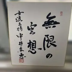女流棋士 直筆サイン色紙 香川愛生女流4段 - メルカリ