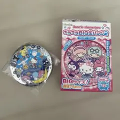 【未開封】サンリオキャラクターズ　キラキラBIG缶バッジ2