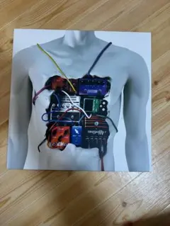 ONE OK ROCK 感情エフェクト レコード