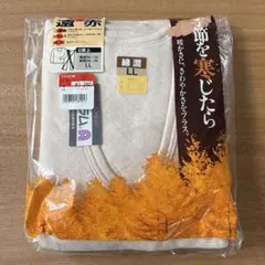 Item thumbnail for item 589d001c-5b89-4c0c-bac8-14f76e3a8f19