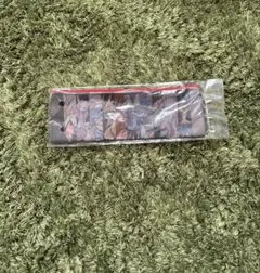 ポケットモンスターポーチ