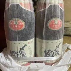 Item thumbnail for item ae9d69c4-1300-4d6d-8e23-82038198848c