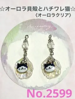 ハンドメイド　〈ピアス/イヤリング/チャーム〉　No.2599