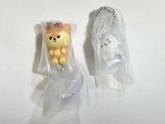 MINITEEN SHUASUMI PPYOPULIセットのサムネイル