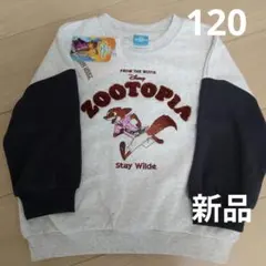 Item thumbnail for item 16238058-f71f-4387-9588-e3c0ede46a33