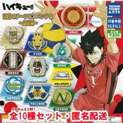 ハイキュー!! 高校モチーフピンバッジ3 全国編 全10種セット