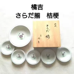 橘吉　さらだ揃　大皿・小皿セット　桔梗のサムネイル