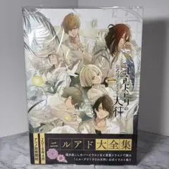 ニル・アドミラリの天秤 公式アートブック 改訂版 - メルカリ