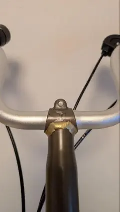 2026年最新】brompton rawの人気アイテム - メルカリ