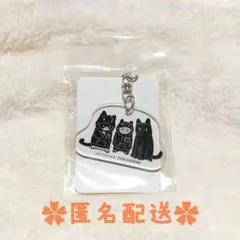 猛さん様 リクエスト 2点 まとめ商品