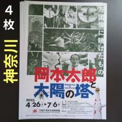 2026年最新】岡本_博の人気アイテム - メルカリ