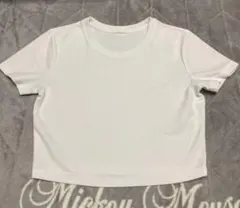 Item thumbnail for item cc1a9733-e525-4102-a218-57a1e99c5890