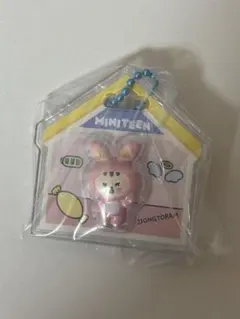 MINITEENミニティーンSEVENTEENセブチ ジョンハン