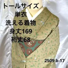 2025年最新】単衣着物 トールサイズの人気アイテム - メルカリ