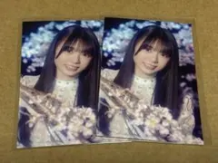 櫻坂46 稻熊雛 櫻之收藏 參加獎勵 2張