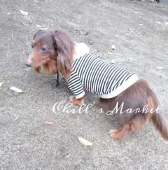 Item thumbnail for item c1857296-b685-44f6-a95e-3e2b6eb1a9eb