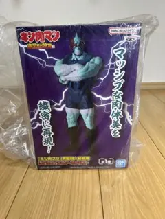 【新品・未開封】キン肉マン　完璧超人始祖編　リアルフィギュア　ネメシス