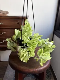 レオミル様 リクエスト 2点 まとめ商品