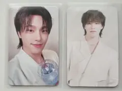 《 SEVENTEEN ディノ 》 ワールドツアー NEW_ ロモカード2枚