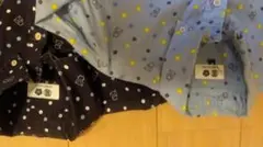 Item thumbnail for item b4c1051f-a59f-41c2-bf0f-8925c995e19a