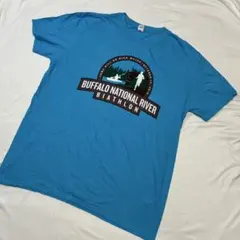 3687] USA古着 ANVIL Tシャツ 半袖 水色 L アメリカ古着