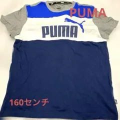 PUMA Tシャツ 160サイズ 青/グレー