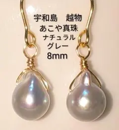 宇和島産　越物　あこや真珠　希少　ナチュラルグレー　クレオパトラ　ピアス　本真珠