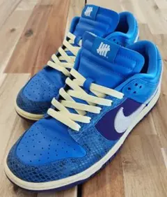 Nike Dunk Low UNDEFEATED 青紫