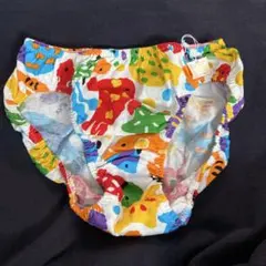 スキャンティ　レトロ