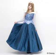 2025年最新】オーロラ姫 ドレス ブルーの人気アイテム - メルカリ