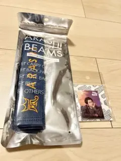 嵐を旅する展覧会 2点まとめ売り