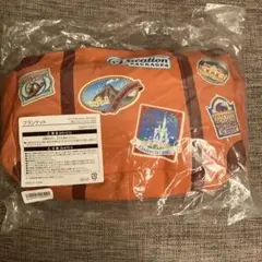 バケパ ブランケット　ディズニー　バケーションパッケージ　非売品