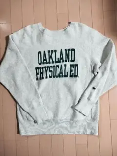 Item thumbnail for item 58d1c024-2818-4699-9cee-e1ddfa29a300