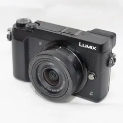 2026年最新】dmc-gx7mk2k 標準ズームレンズキットの人気アイテム