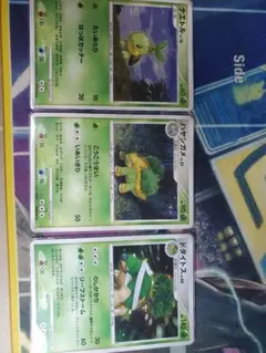 ポケモンカード ナエトル ハヤシガメ ドダイトス 進化ラインセット